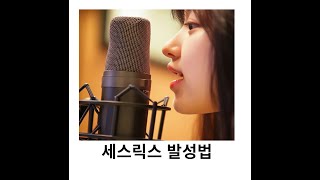 세스릭스발성법 | 스케일연습 |천리길도 한걸음부터 | 매일매일 연습하면 노래 잘 부르게 된다는~