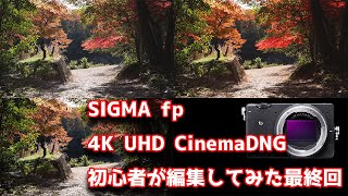 動画初心者がSIGMA fp で撮った「4K UHD CinemaDNG」を編集してみた　最終回  動画編集　茨の道