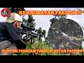 HUNTING PEREGAM JUMBO DI HUTAN PAPUA!!! BURUANNYA MELIMPAH BANGET