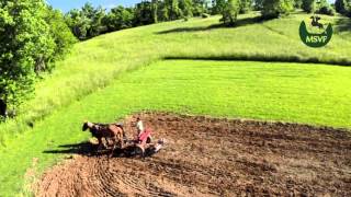 Discing with the Horses