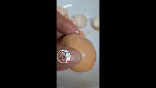 peeling Eggs