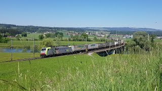 Bahnverkehr in Oberrüti \u0026 Arth-Goldau (mit Giruno-Test in Oberrüti)