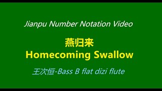 《Homecoming Swallow》Dizi Flute Solo Music Notation Video Bass B flat Key Dizi 《燕归来》王次恒竹笛 简谱 动态乐谱