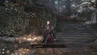 もみじのblood borne part15