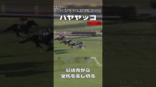 アルゼンチン共和国杯 ハヤヤッコ 吉田豊 白馬が全馬ごぼう抜き 2024#shorts