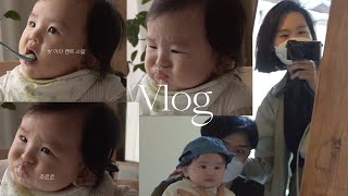 vlog 6개월 아기의 첫 사과 먹방  , 6개월 영유아 검진,  마루 ,  행궁동 ,  가족 안에서 느끼는 소소한 행복!