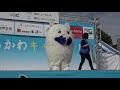 大阪府からやって来た たなみんprステージ！　しらかわキャラ市2019　2日目　00002