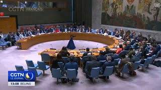 La Palestine demande à l'ONU d'encourager les pourparlers en vue d'une solution à deux États