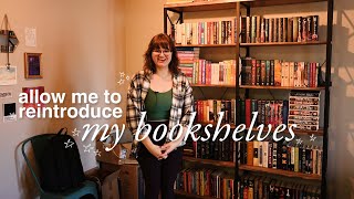 a non-aesthetic bookshelf tour