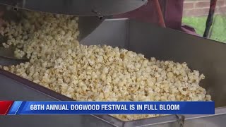 Vinton's Dogwood Festival drives traffic to local businesses