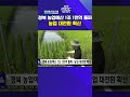 경북 농업예산 1조 1천억 돌파..농업 대전환 확산 포항mbc mbcnews 포항mbc뉴스