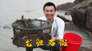 大潮后阿烽上岛撬红海蛎，意外发现一个废螃蟹笼，竟藏着值钱大货