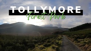 Tollymore Forest Park | Northern Ireland | Black Trail \u0026 The Drinns | 4k