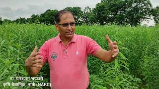 माटोको उर्वराशक्ति ब्यबस्थापन बिधि (soil fertility management method)