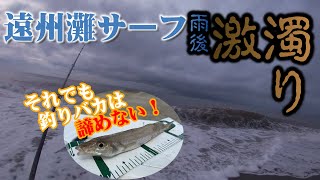 雨後の遠州サーフ釣行！予想通りの激濁り・・・それでも魚は持ち帰る！！