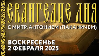 Толкование Евангелия с митр. Антонием (Паканичем). Воскресенье, 2 февраля 2025 года.