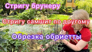 Стригу самшиты по другому,обрезка обриетты,брунеры,вейгела из тени и др.