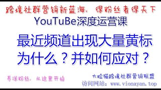 最近频道出现大量黄标，为什么？并如何应对？