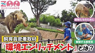 【かみね動物園 飼育員密着取材】「環境エンリッチメント」とは？