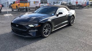 2019 Ford Mustang Knoxville, Farragut, Oak Ridge, Maryville, Gatlinburg, TN 6K515639A