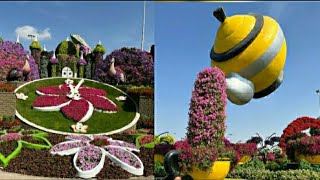 Miracle Garden Dubai/The world’s largest natural flower garden#natural  #dubai