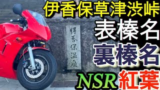 一昨日の紅葉｢表榛名♡裏榛名」NSR50/80伊香保草津渋峠ツーリングNチビ