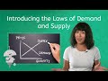 Introducing the Laws of Demand and Supply - Economics for Teens!