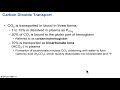 anatomy and physiology chapter 22 part c lecture respiratory system