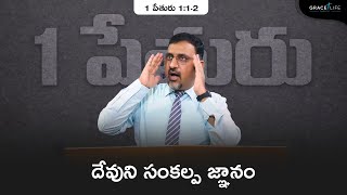 1 పేతురు 1:1-2 (P5) II దేవుని సంకల్ప జ్ఞానం || Grace Life Church II Daniel Surya Avula ||