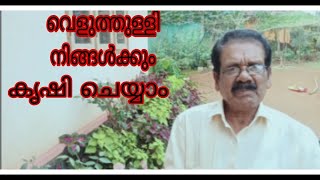 വെളുത്തുള്ളി   കൃഷിചെയ്യാൻ # ഒന്ന്   പഠിച്ചാലോ # See  Video #adipoli  Vilavu  Undakkam #ഇത് ഔഷധമാണ്