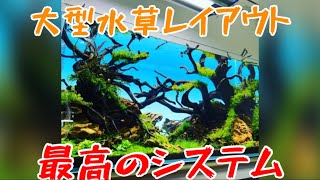 夢の異業種タッグ1200レイアウトの1ヶ月の様子をLIVE配信！【アクアリウムトールマン動画チャンネル！トールマンTV!】