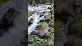 PYKARA WATERFALL , NEAR OOTY TAMIL NADU. SOUND OF WATER HITTING HARD ROCKS