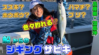 船からの「ジギングサビキ」でダブル、トリプル?　青物快釣!【ガッ釣り関西　#035】