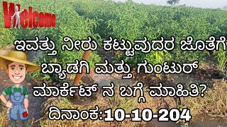 ಇವತ್ತಿನ ಗುಂಟುರ್ ಮತ್ತು ಬ್ಯಾಡಗಿ ಮಾರ್ಕೆಟ್ ನಲ್ಲಿ ಬಂದ ಹೊಸ ಕಾಯಿಗಳು ಯಾವ ಬೆಲೆಗೆ ಮಾರಾಟ ಅಗಿದಾವೆ?🙋🌶👳