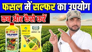 फसल में सल्फर का उपयोग  || liquid Sulphur 20% || sulphur 80% || sulphur 90%