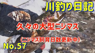 【北海道十勝の川釣り】久々の大型ニジマス【川釣り日記57】