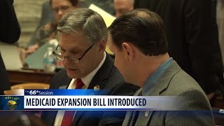 Montana Democrats propose Medicaid expansion bill