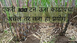 एकरी 100 टन ऊस उत्पादन घेण्यासाठी करा हा प्रयोग,ऊसशेती | Sugarcane farming tips | ऊस नवीन तंत्रज्ञान