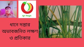 ধানে দস্তার অভাবজনিত লক্ষণ ও প্রতিকার