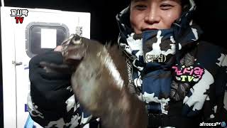 이게 볼락이지!? 통영 볼락루어낚시ㅣ유명 유튜버와 동출 [rockfish,メバル,fishing,angling]