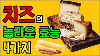 치츠의 놀라운 효능 4가지 \u0026 부작용  알고 먹으면 좋아요!