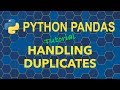 Python Pandas Handling Duplicates