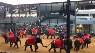 泰國芭堤雅東芭樂園大象表演(elephant show｜Nong Nooch Village, Pattaya, Thailand)25072016