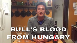 Hungarian Red Wine: Bikavér aka Bull’s Blood from Eger