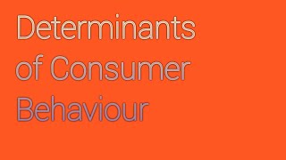 Determinants Of Consumer Behavior | PART - 1 |