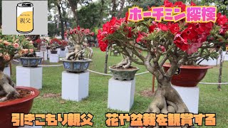 【ホーチミン探検】ベトナム旧正月は花祭りで過ごすのだ！ ～Công viên Tao Đàn～