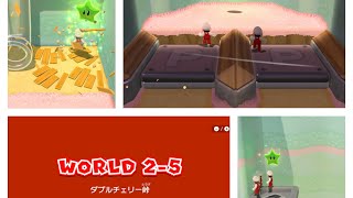 switch版 スーパーマリオ3Dワールド WORLD 2-5 ダブルチェリー峠 スターの場所×3