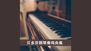 降E大调第4号钢琴奏鸣曲, Op. 7, 第二乐章