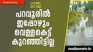 പറവൂർ പല്ലൻതുരുത്തിൽ ഇപ്പോഴും വെള്ളകെട്ട് കുറഞ്ഞിട്ടില്ല | Pallanthuruth |  Kerala Flooding