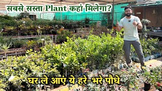 दिल्ली के Balaji Nursery में क्या क्या मिलेगा और सबसे सस्ता मिलेगा | Plant Nursery in Delhi